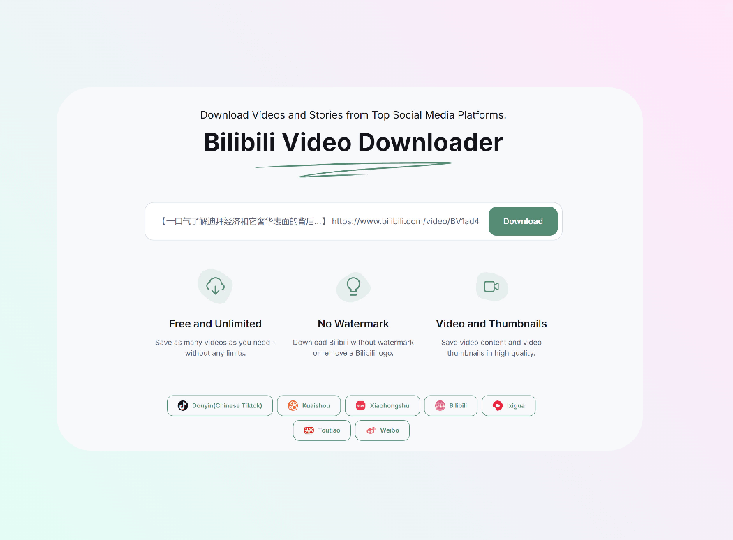 how to use bilibili video downloader-step2